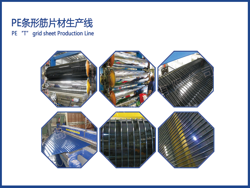 PE條形筋片材設(shè)備